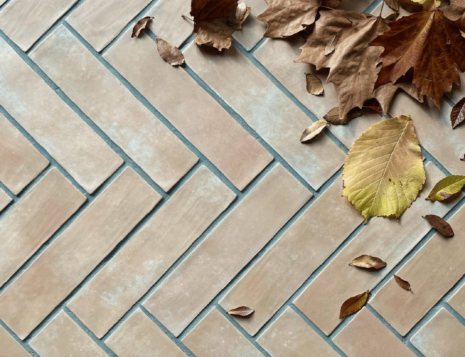 Close up of brown subway tiles that look like bricks, laid in herringbone patters. A few autumn leaves scattered on them.